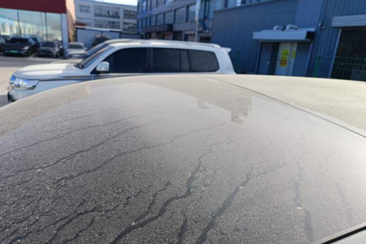 Used Li Auto L9 2023 Pro Model
