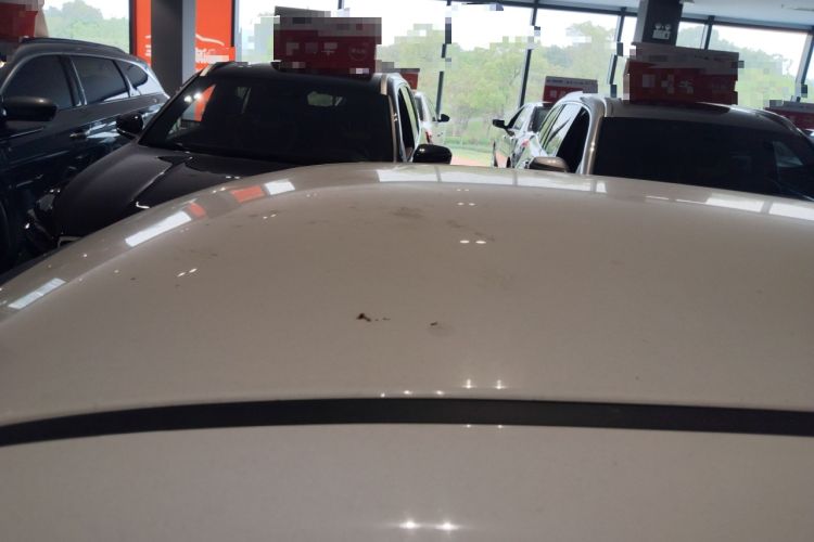 Used ORA Black Cat 2021 351 km Luxury Version
