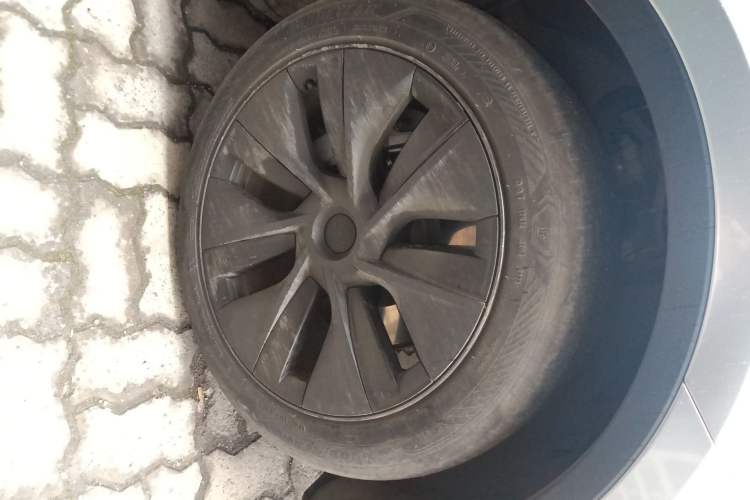 Used Tesla Model Y 2023 Rear-Wheel-Drive Version
