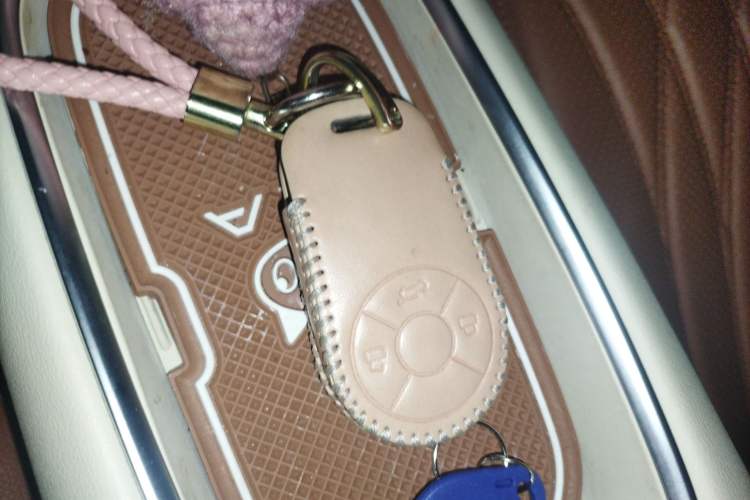 Used ORA Good Cat 2023 401 km Standard Range Prestige Version Lithium Iron Phosphate Vehicle Key