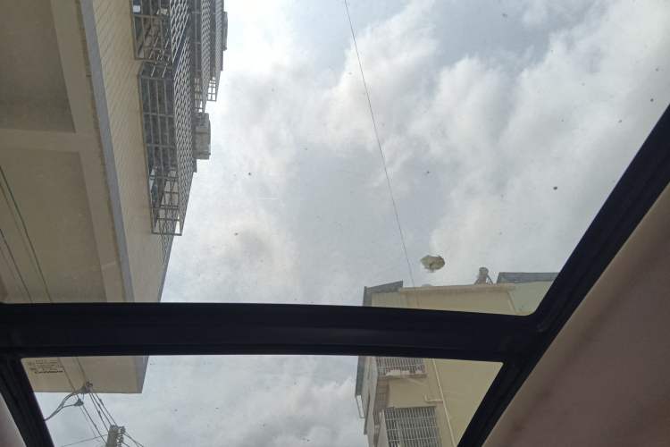 Used CHANGAN OSHAN X5 2022 Sport Edition 1.5T DCT Cyclone Assault Headliner