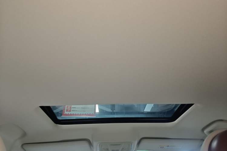 Used ORA Ballet Cat 2023 401 km Luxury Version
