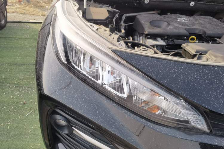 Used Toyota Wildlander 2023 2.0L CVT Two-Wheel Drive Leading Edition