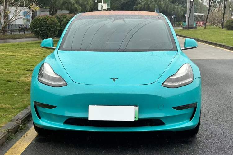 Used Tesla Model 3 (Import) 2019 Long-Range Rear-Wheel-Drive Version
