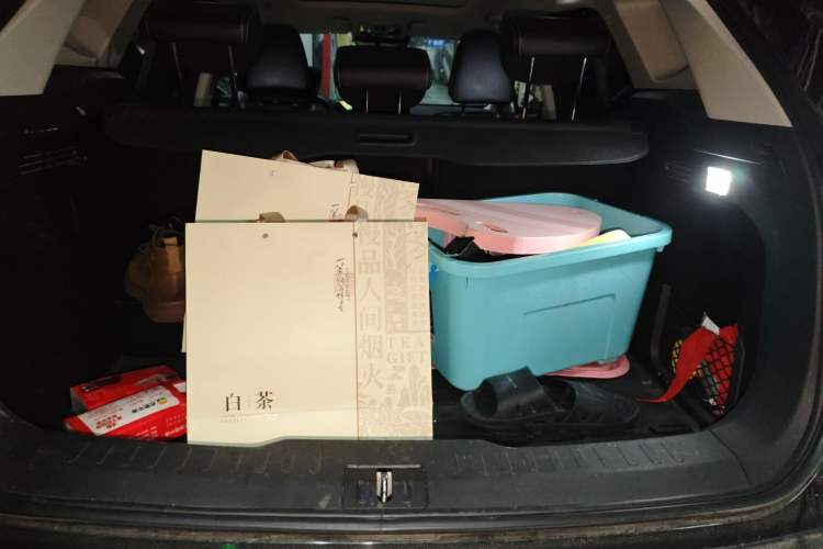 Used Wey VV6 2021 2.0T Two-Wheel Drive Smart Protection+ Trunk