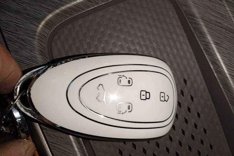 Used Wey Gaoshan 2025 Four-Wheel Drive Alpine 8