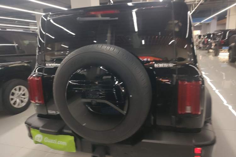 Used Tank 300 2024 2.0T Conqueror
