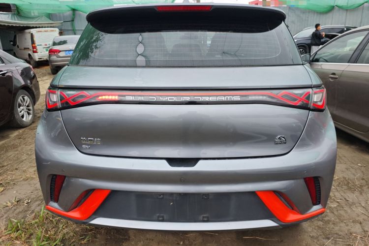 Used BYD Dolphin 2021 405 km Fashion Edition Rear