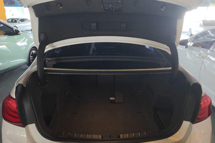 Used BMW 3 Series 2016 316Li Fashion Model
