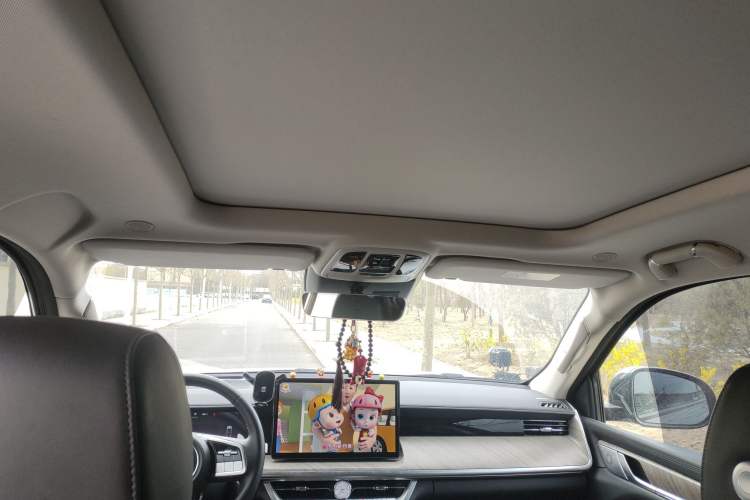 Used Tank 500 New Energy 2024 Hi4-T Black Warrior Edition Headliner