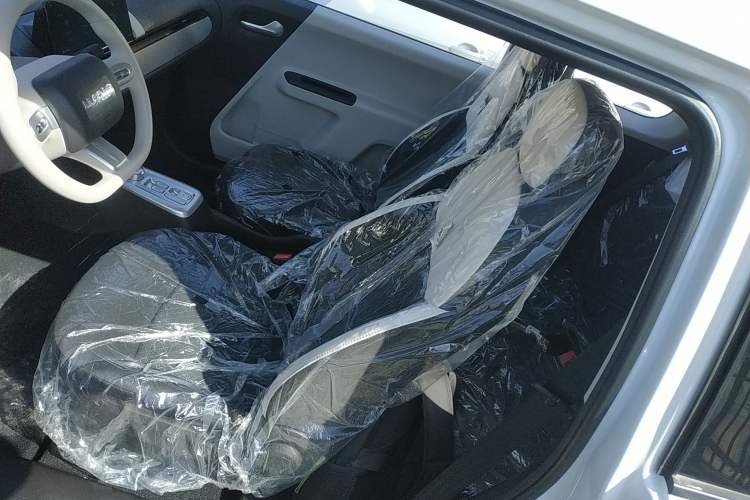 Used CHANGAN NEVO Lumin 2026 Model Treasure Edition 205km Passionate Beige Ningde Left Front Seat