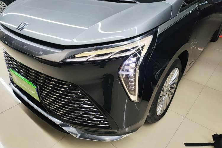 Used Buick Century 2023 2.0T Four-Seat Private Edition