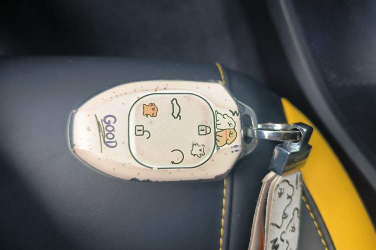 Used GAC Trumpchi EMPOW 2021 270T DCT J15 Version Vehicle Key