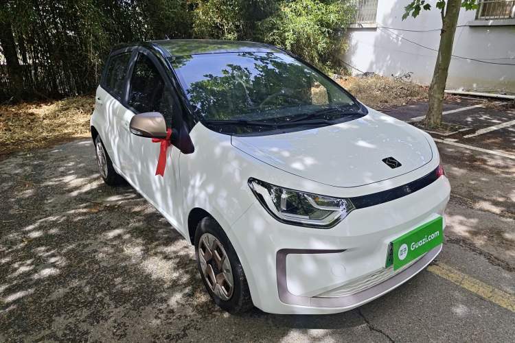 Used SOL E10X 2022 Flower Fairy Design Dandelion
