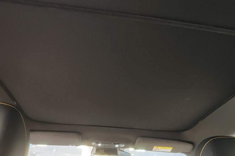 Used AION Y 2022 70 Tech Edition Lithium Iron Phosphate Headliner