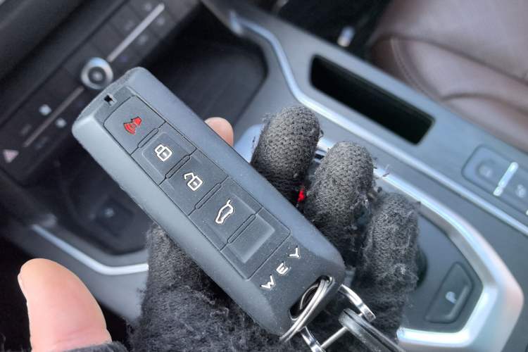 Used Wey VV6 2021 2.0T Two-Wheel Drive Smart Plus
