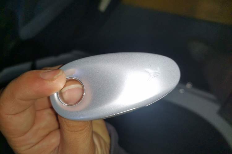 Used VOYAH PASSION 2023 Four-Wheel Drive Flagship Edition