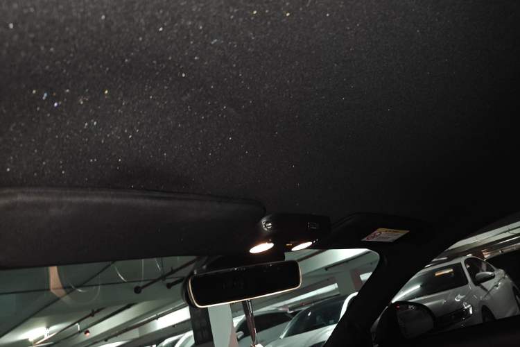 Used Ford Mustang 2020 2.3L EcoBoost Headliner