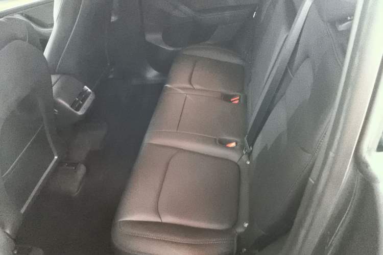 Used Tesla Model Y 2021 Standard Range Rear-Wheel Drive Version Left Rear Seat