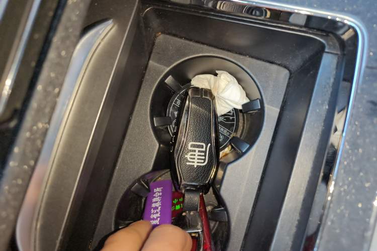 Used BYD Tang New Energy 2025 Intelligent Driving Version DM-i 115KM Prestige Edition