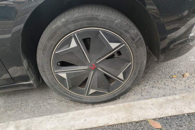 Used Rising ER6 2021 New Dynamic Edition 620km Smart Drive Version
