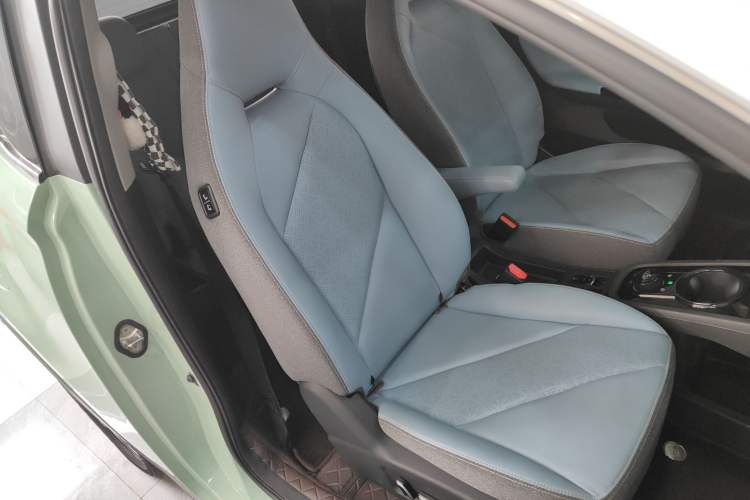 Used Chery Little Ant 2023 251km True Love Edition Lithium Iron Phosphate
