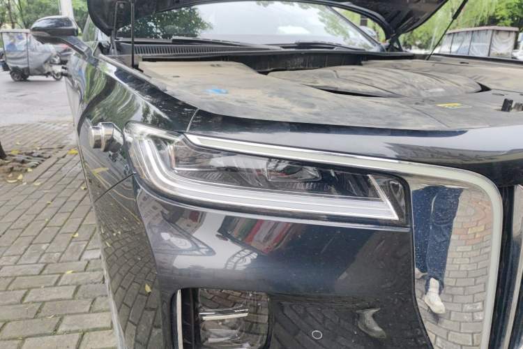 Used Hongqi H9 2020 2.0T Smart Connect Flagship Edition