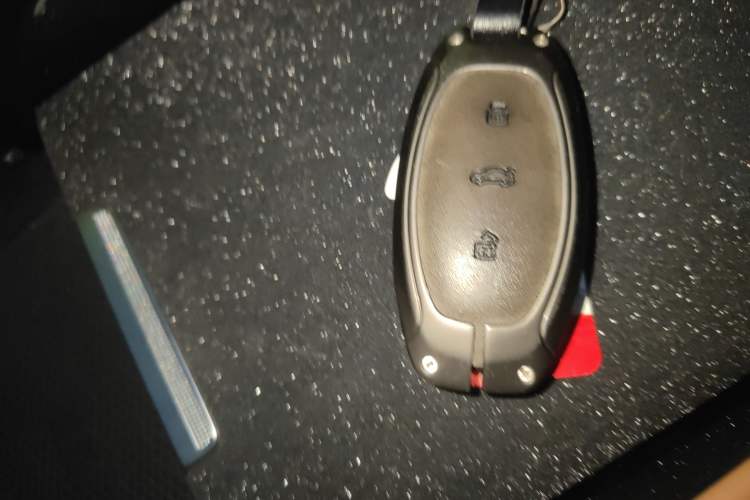 Used Rising R7 2023 Rear-Drive Screen King Pro Edition