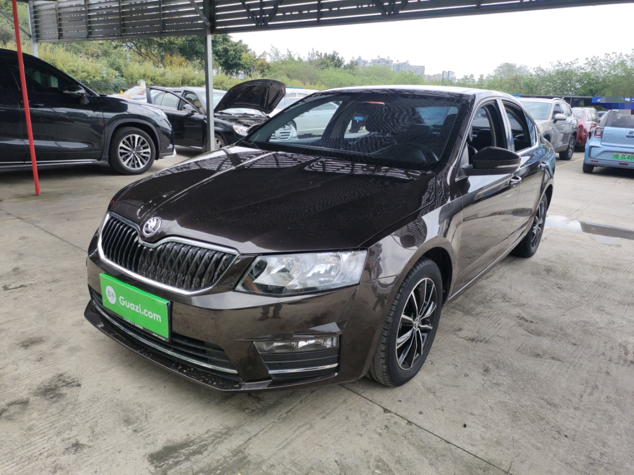 Parte inferior delantera