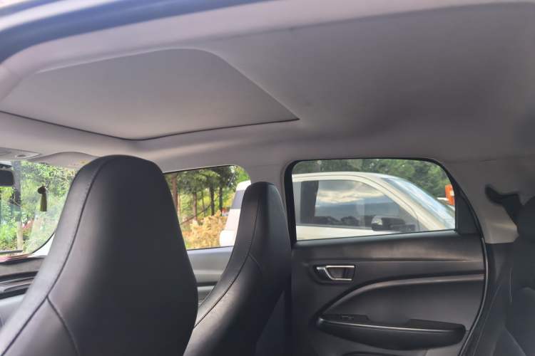 Used Leapmotor T03 2020 400 Luxury Edition Headliner