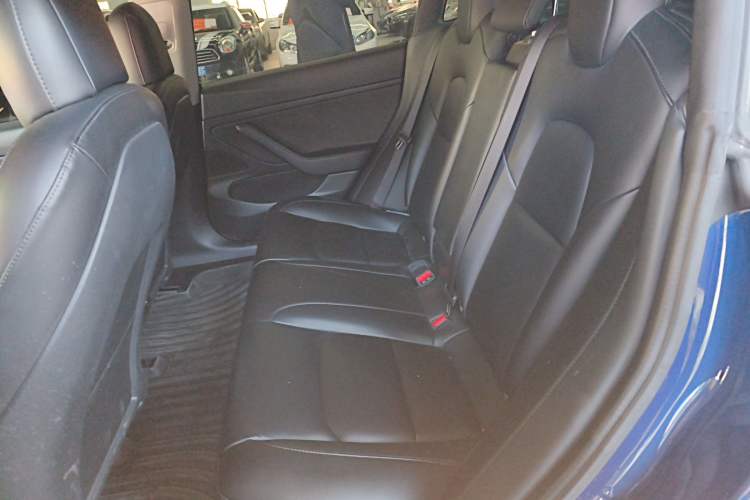 Used Tesla Model 3 2019 Standard Range Rear-Drive Upgraded Version