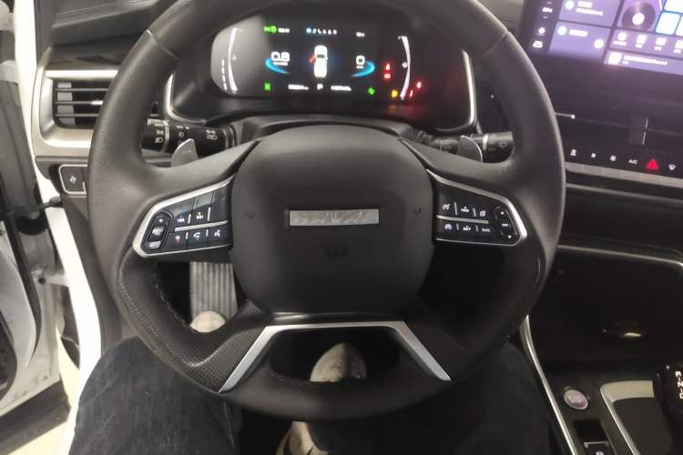 Used Haval H6 2023 National Trend Edition 1.5T Automatic Champion Version
