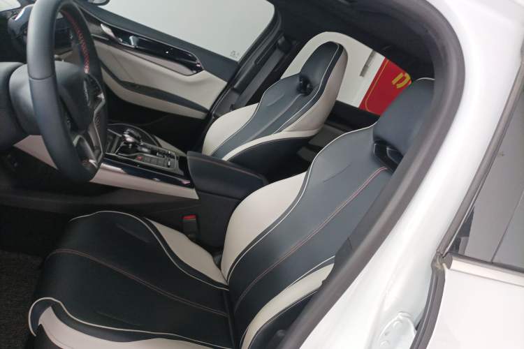 Used BYD Qin PLUS 2021 EV 500KM Luxury Model Left Front Seat