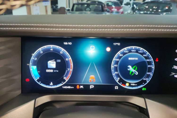 Used Tank 300 2024 2.0T Conqueror