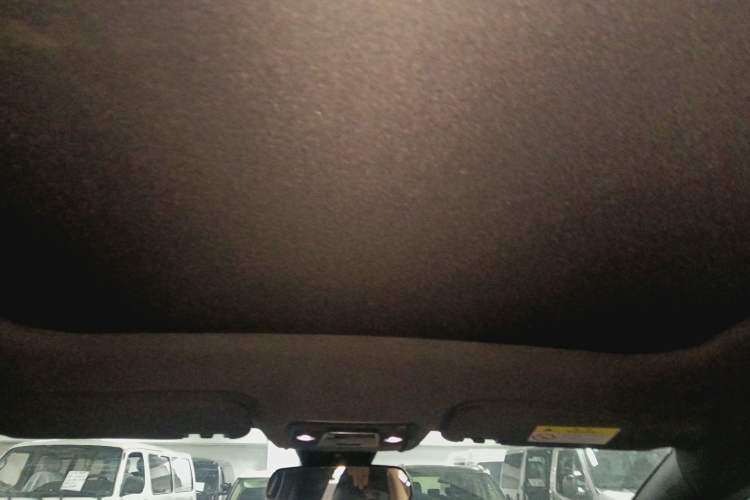 Used BYD Dolphin 2023 420 km Fashion Edition Headliner