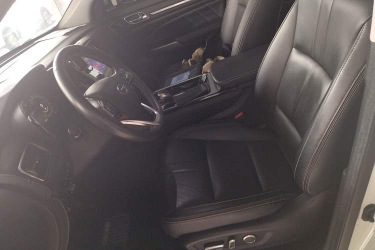 Used GAC Trumpchi GS8 2020 390T Two-Wheel Drive Luxury Smart Connectivity Version (7 Seats) Left Front Seat