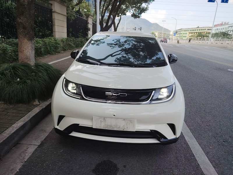 Used BYD Dolphin 2023 420 km Free Version — 2