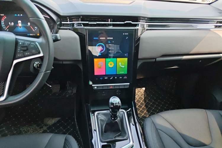 Used JAC Group T8 2021 2.4T PRO Gasoline Two-Wheel Drive Rui Xing Edition Standard Dual 4K22D4T
