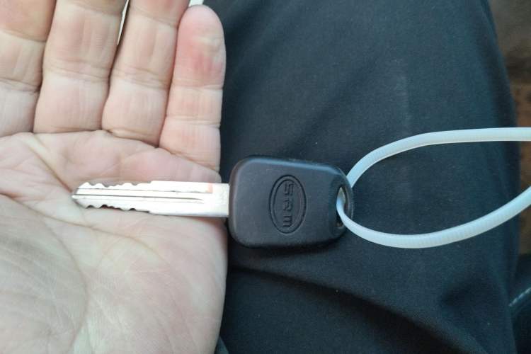 Used Jinbei Gold Hiace 2023 1.5L Passenger Vehicle Engineering Lion 9 Seats
