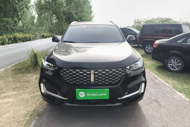 Used Wey VV6 2021 2.0T Two-Wheel Drive Smart Protection+