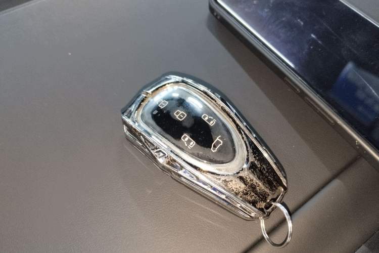 Used Wey Gaoshan 2025 Four-Wheel Drive Alpine 9
