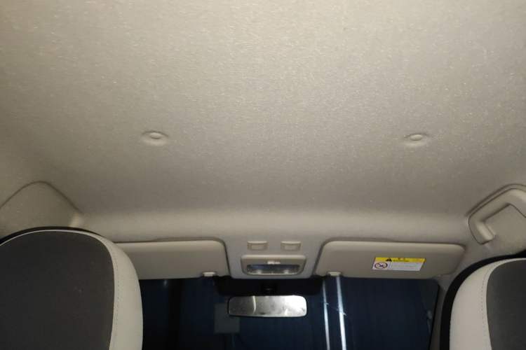 Used ORA Black Cat 2021 301 km Basic Version Headliner