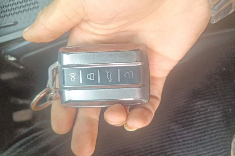 Used Tank 400 New Energy 2024 Hi4-T Off-Road Edition