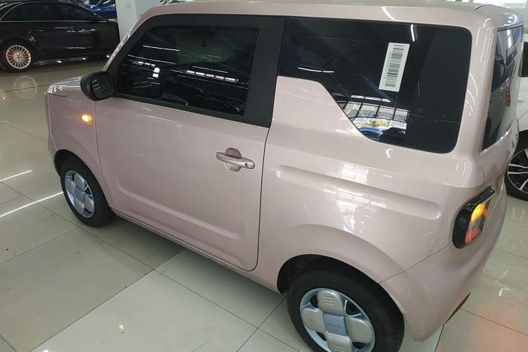 Used Geely Galaxy Panda 2024 Panda Mini 200km Longteng PRO Edition Exterior 3