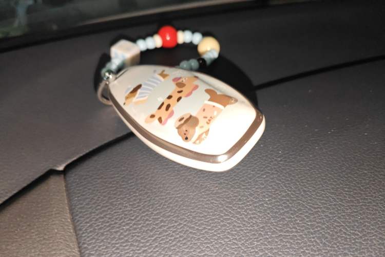 Used Hongqi HS3 2023 1.5T Two-Wheel Drive Shanwei Edition Vehicle Key