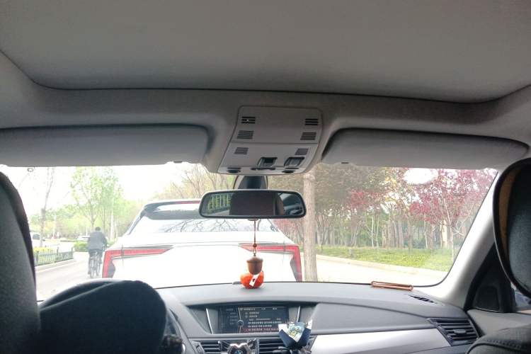 Used BMW X1 2012 sDrive18i Luxury Edition Headliner