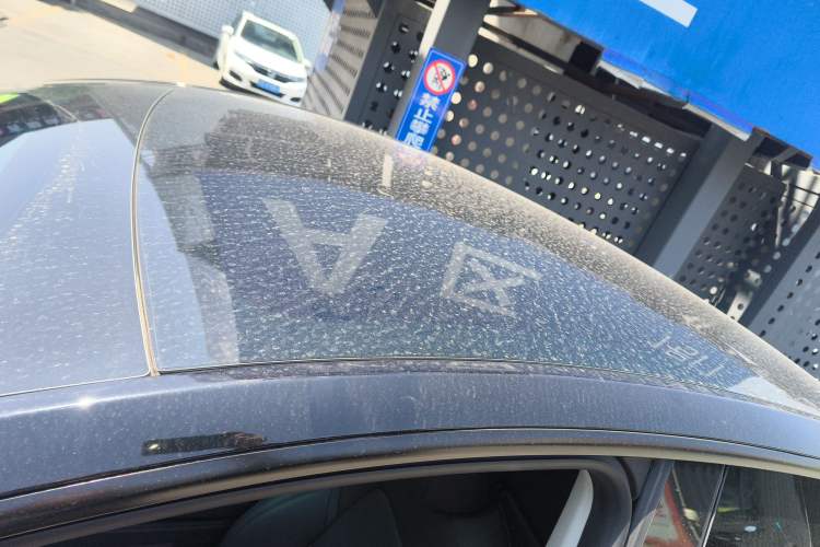 Used Tesla Model Y 2024 Rear-Wheel-Drive Version Roof