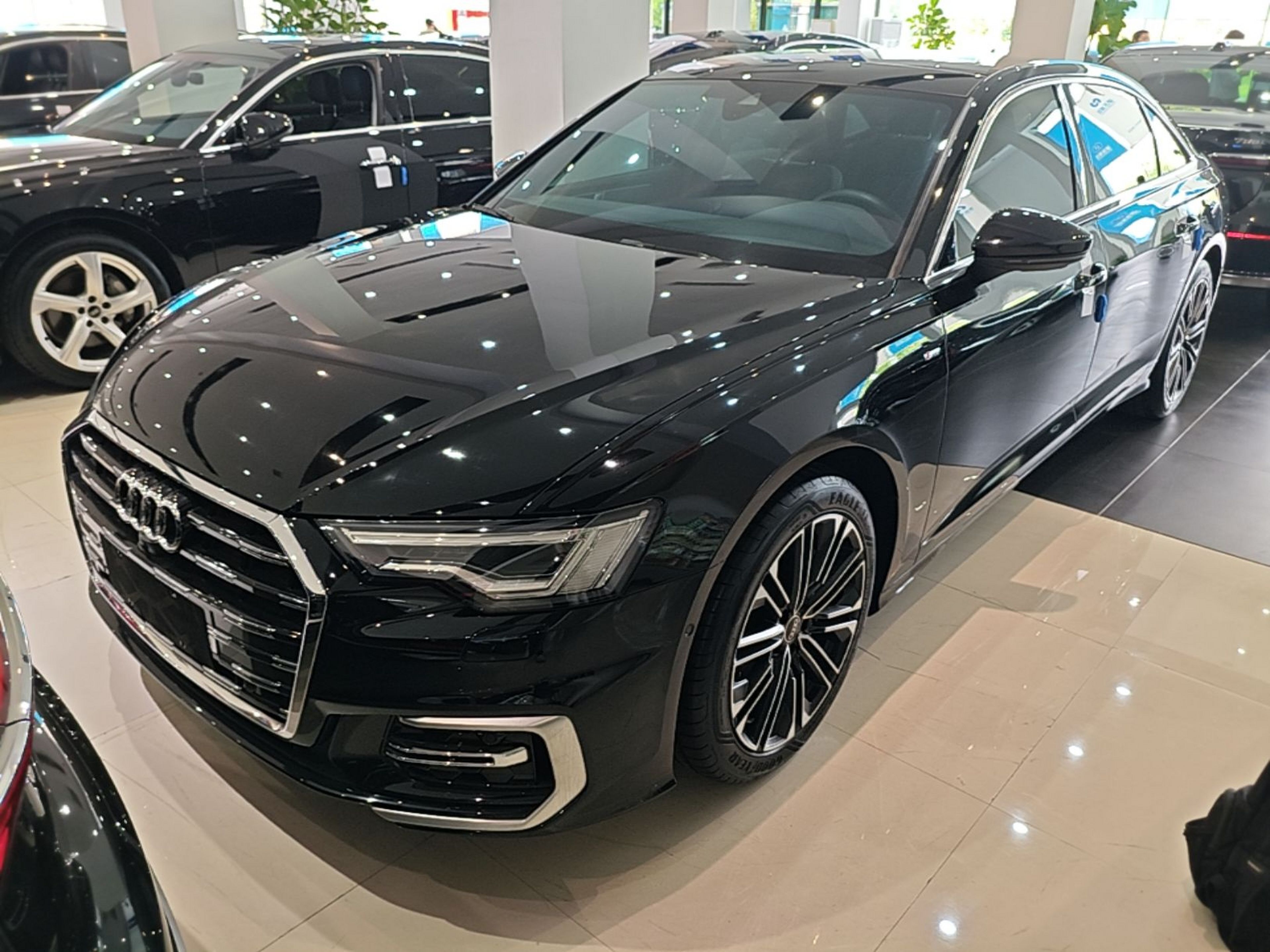 Parte inferior delantera