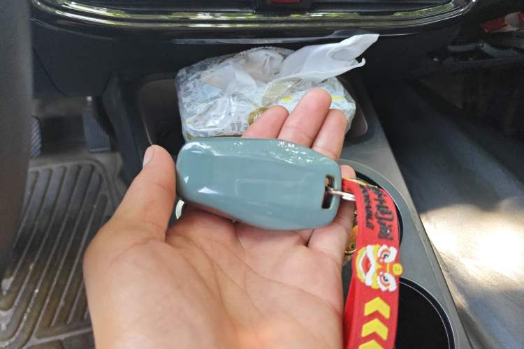 Used SOL E10X 2022 Flower Fairy Design Four-Leaf Clover