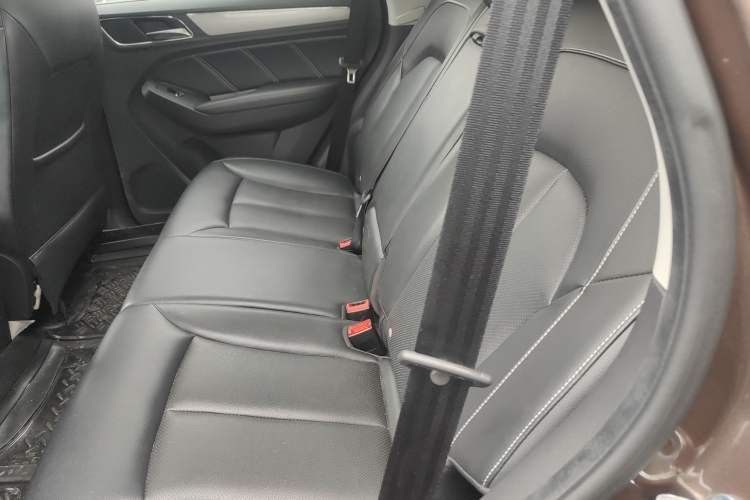 Used Roewe RX5 2016 20T Two-Wheel Drive Automatic Flagship Edition Left Rear Seat